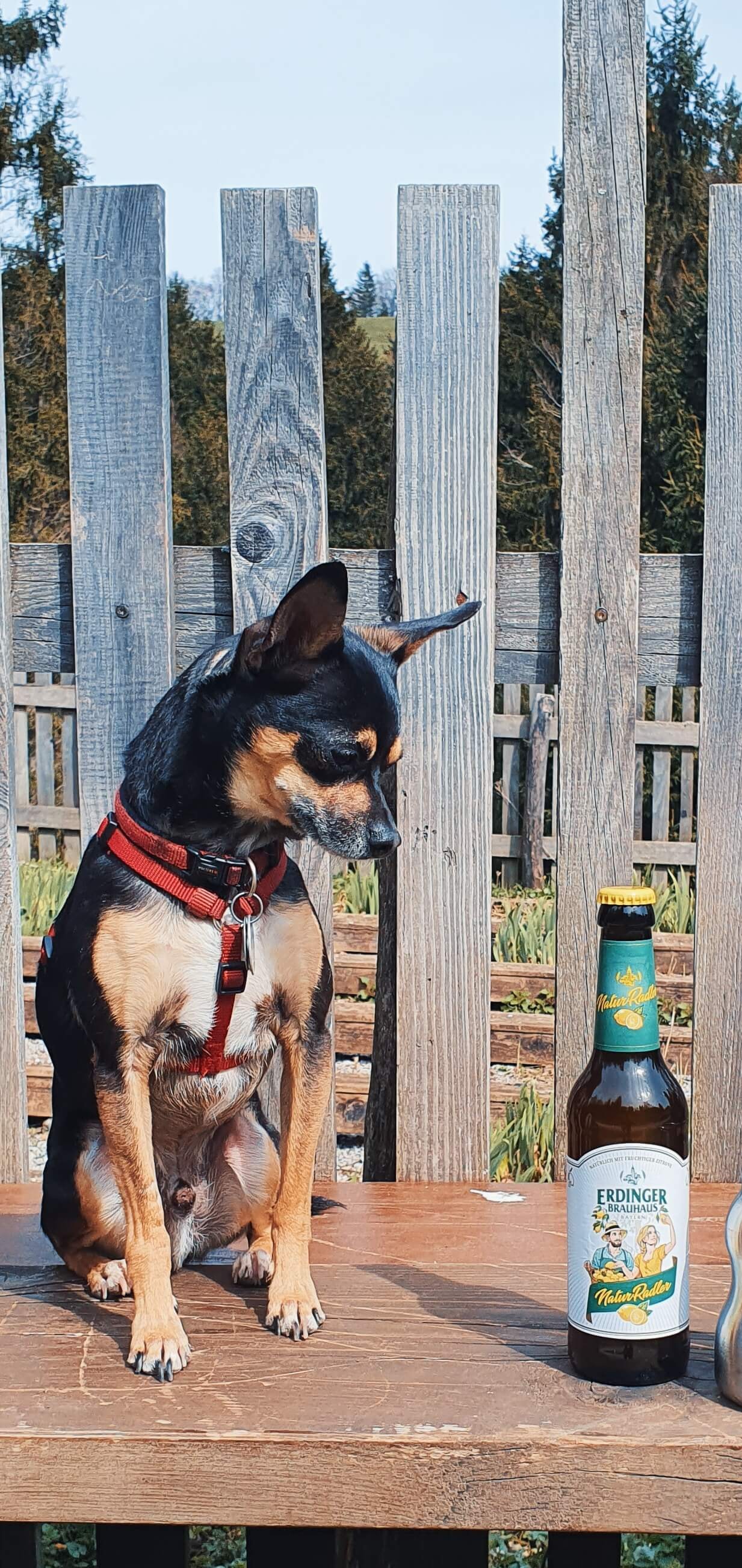 Fanclub carousel image