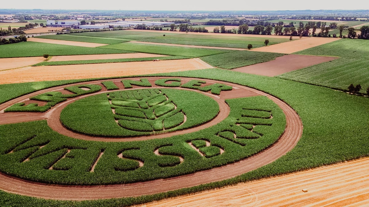 Das ERDINGER Logo angelegt als Blühwiese aus Vogelperspektive, ein ERDINGER Nachhaltigkeitsprojekt.